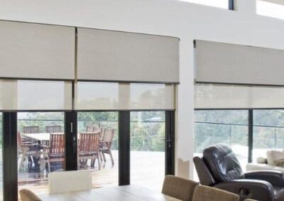 double roller blinds